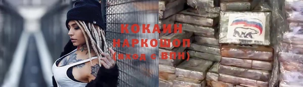 сатива Верея
