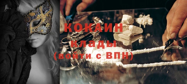 сатива Верея