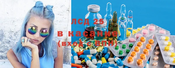 сатива Верея