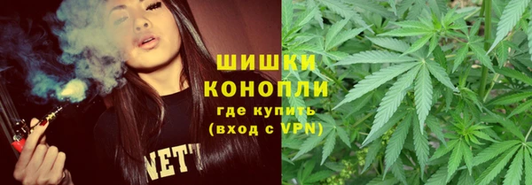 сатива Верея