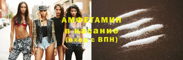 сатива Верея