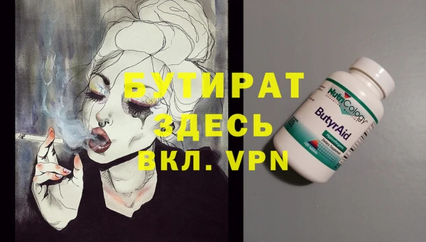 сатива Верея