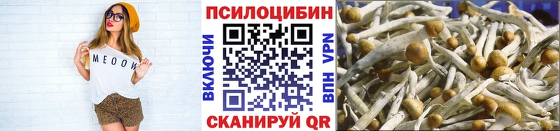 Псилоцибиновые грибы прущие грибы  мега ссылка  Волгоград 